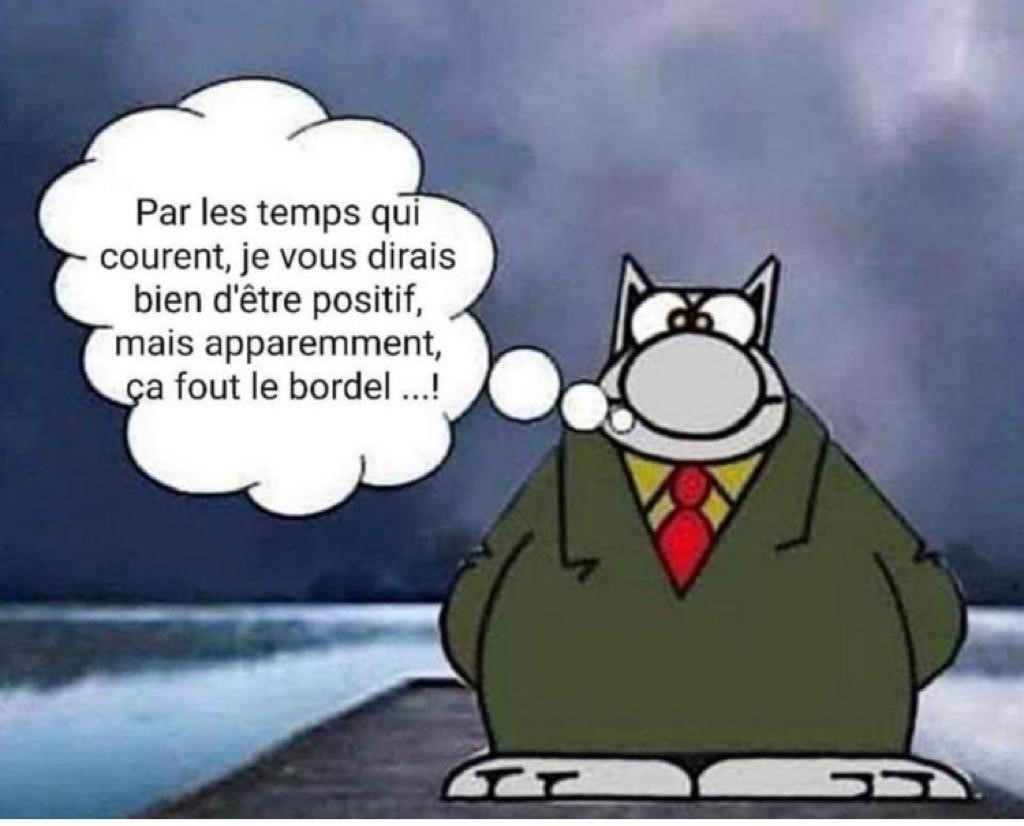 2021.12.30 pensee du chat