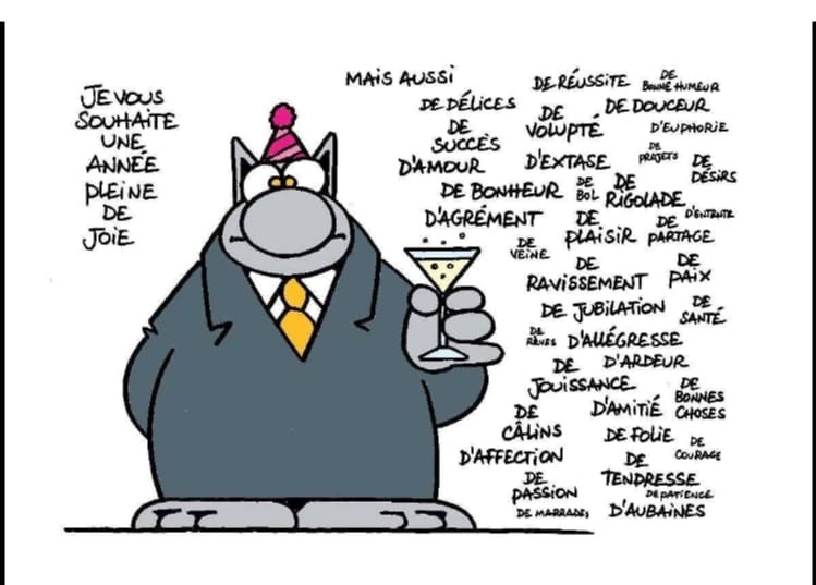 2022.01.01 voeux du chat