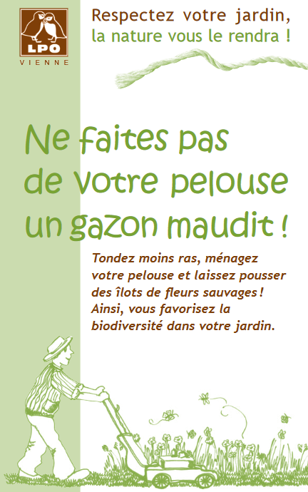 2020.05.07 gazon maudit