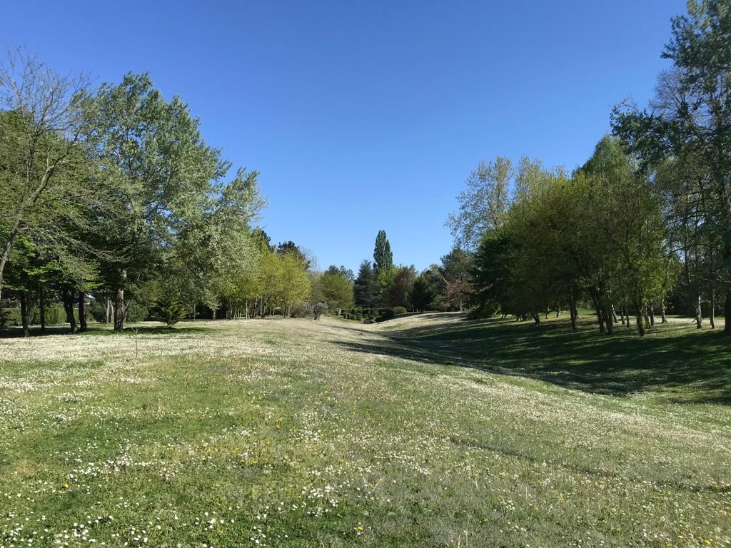 2020.05.08 joumard 11