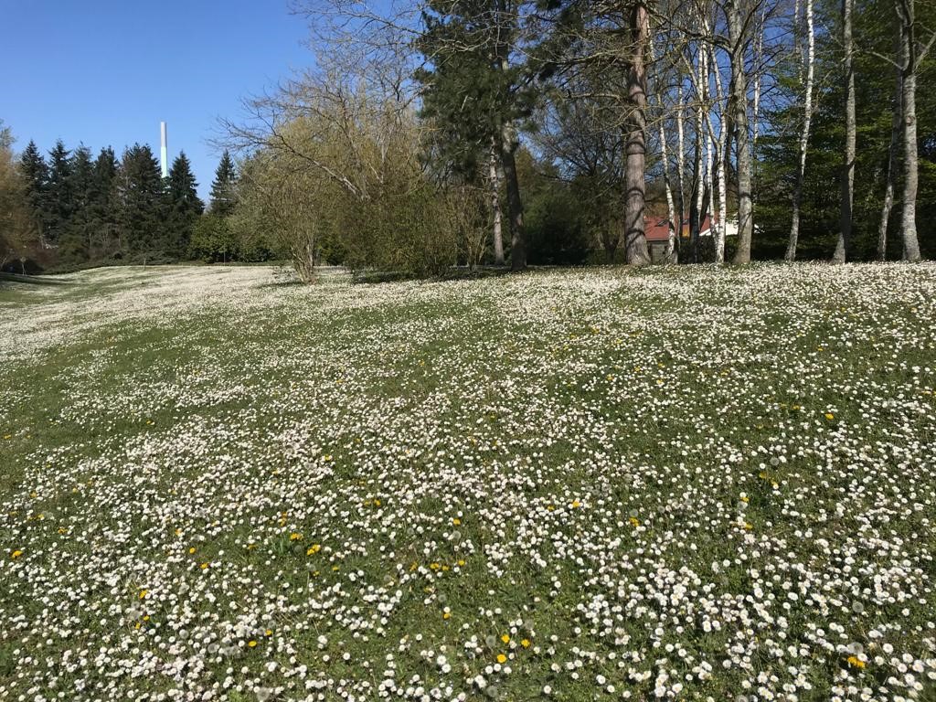 2020.05.08 joumard 12