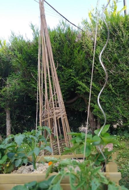 2020.06.20 jardin nadia 1