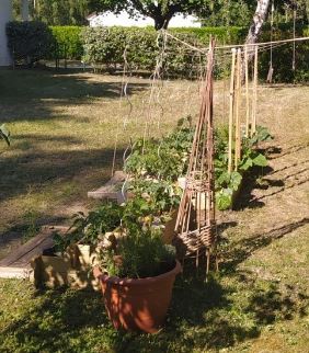 2020.06.20 jardin nadia 6