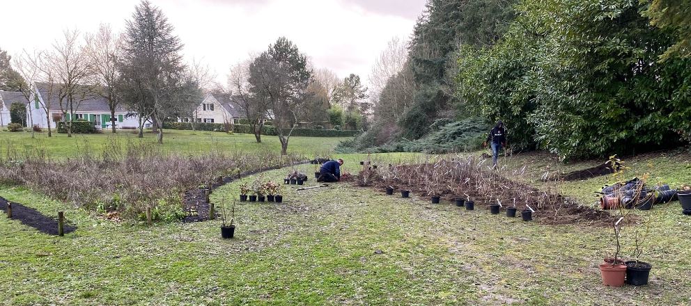 2021.01.29 plantation haie ecologique 1