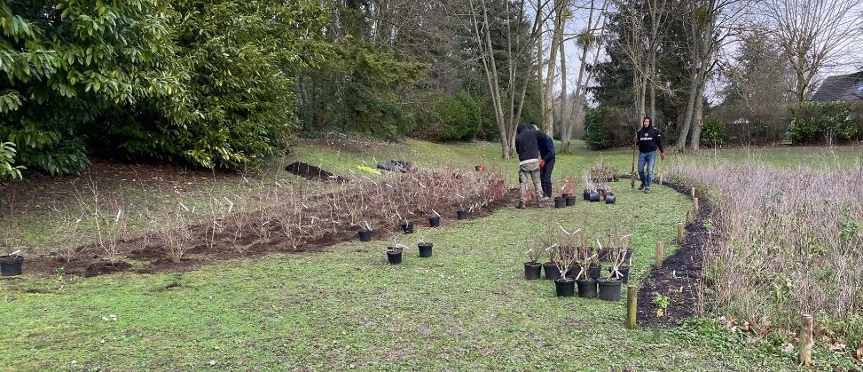 2021.01.29 plantation haie ecologique 2