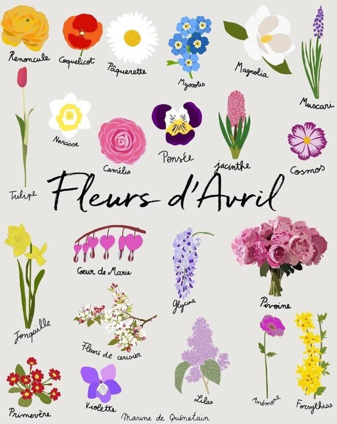 2025.04.02 fleurs de printemps 2
